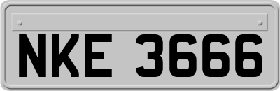 NKE3666