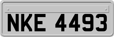 NKE4493