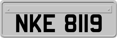 NKE8119