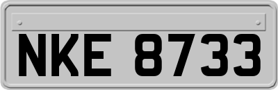 NKE8733