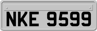 NKE9599