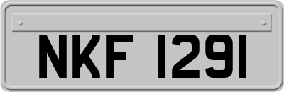 NKF1291