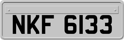 NKF6133
