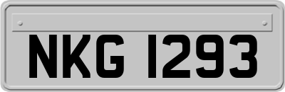 NKG1293