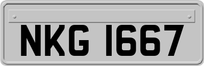 NKG1667