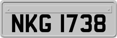 NKG1738