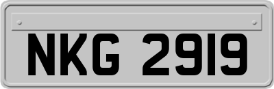 NKG2919
