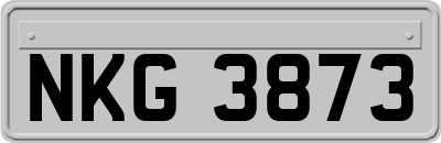NKG3873