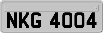 NKG4004