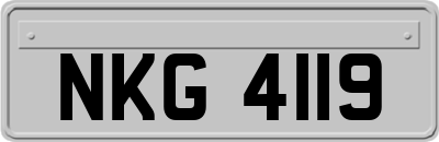 NKG4119