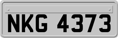 NKG4373