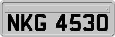 NKG4530