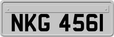 NKG4561