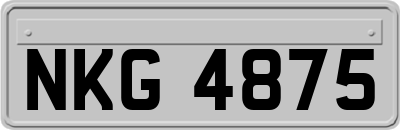 NKG4875