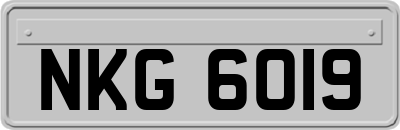 NKG6019
