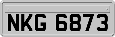 NKG6873