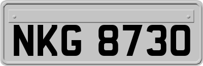 NKG8730
