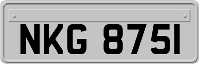 NKG8751