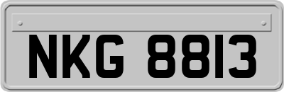 NKG8813
