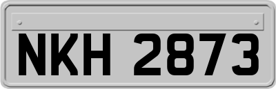 NKH2873