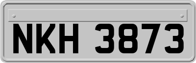 NKH3873