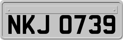 NKJ0739