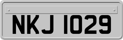 NKJ1029