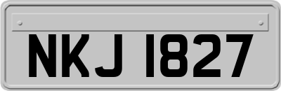 NKJ1827