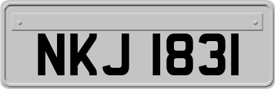 NKJ1831
