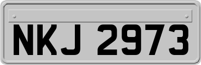 NKJ2973