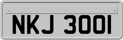 NKJ3001