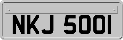 NKJ5001