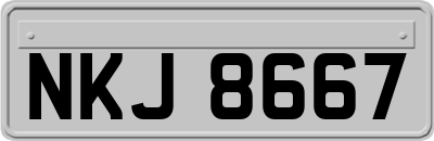 NKJ8667