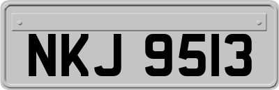 NKJ9513