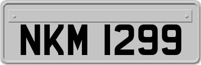 NKM1299