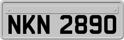 NKN2890