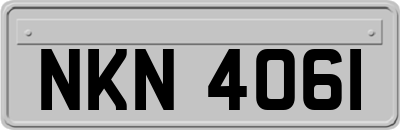 NKN4061