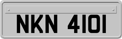 NKN4101