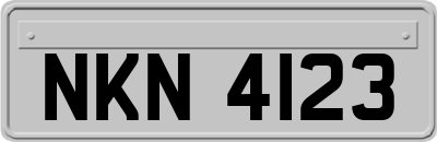 NKN4123