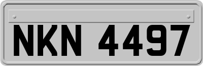 NKN4497
