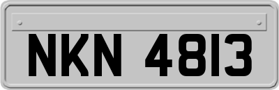 NKN4813