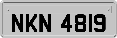 NKN4819