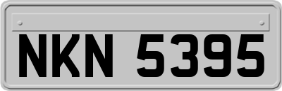NKN5395