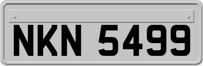 NKN5499