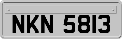 NKN5813