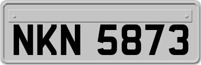 NKN5873