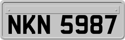 NKN5987