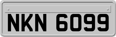 NKN6099