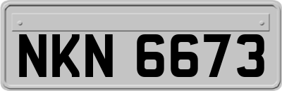 NKN6673