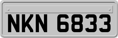 NKN6833